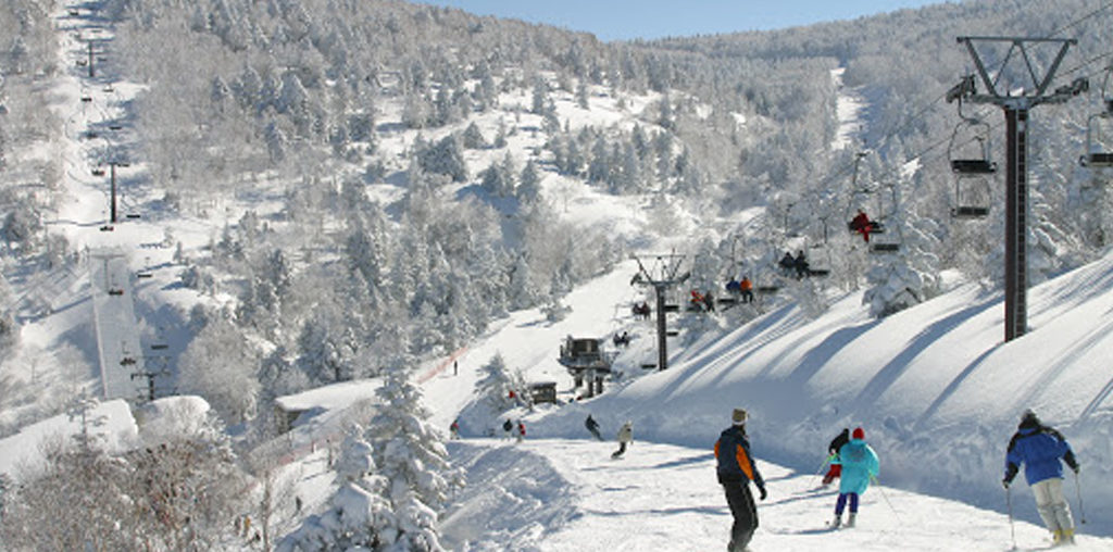 Ryuoo Ski Park<br>(龍王滑雪公園)